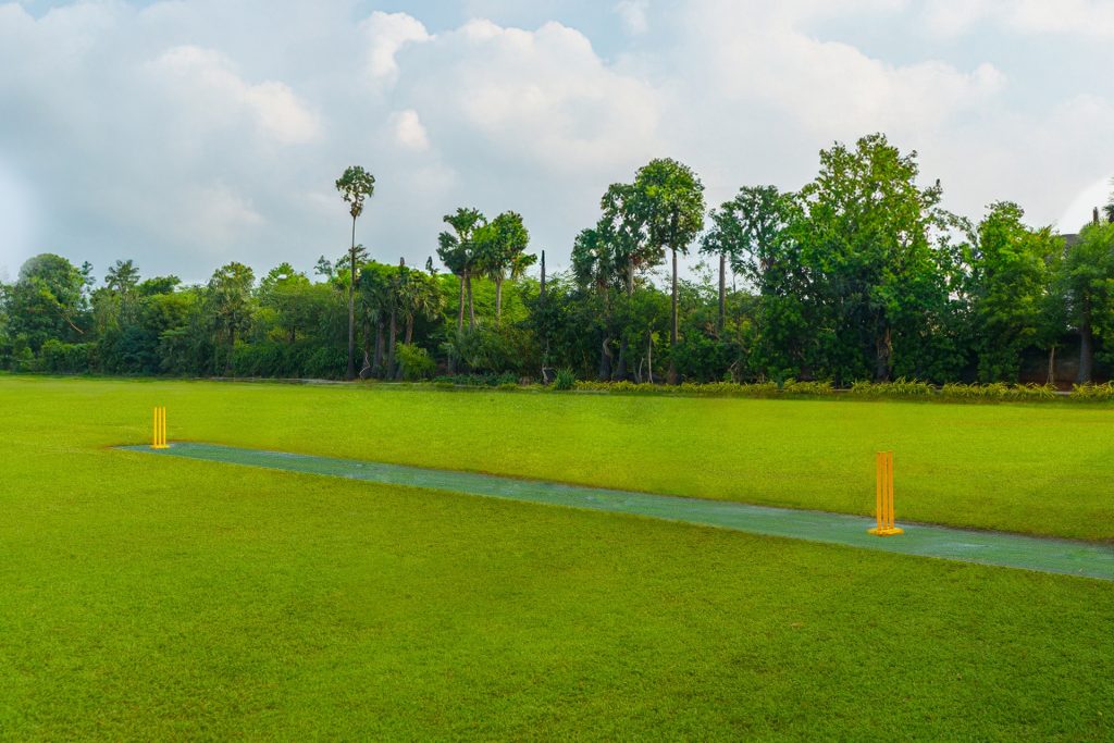 Cricket Lawn
